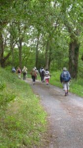 2 juillet De Meaulne à Goule (9)