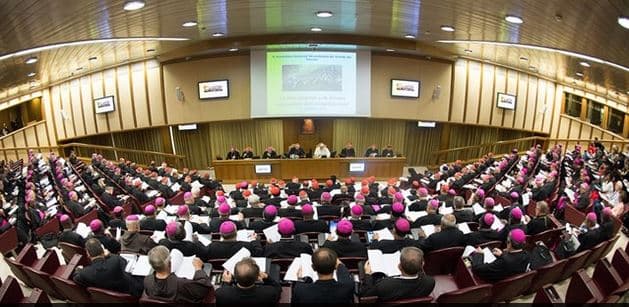 Synode 2014 - l'assemblée