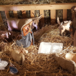 creche creche
